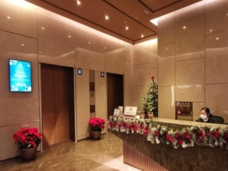 Serviced Apartment